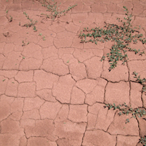 Middellandse Zeegebied warmt snel op