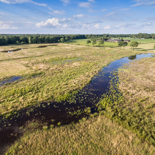 Natte natuur houdt Limburgse voeten droger