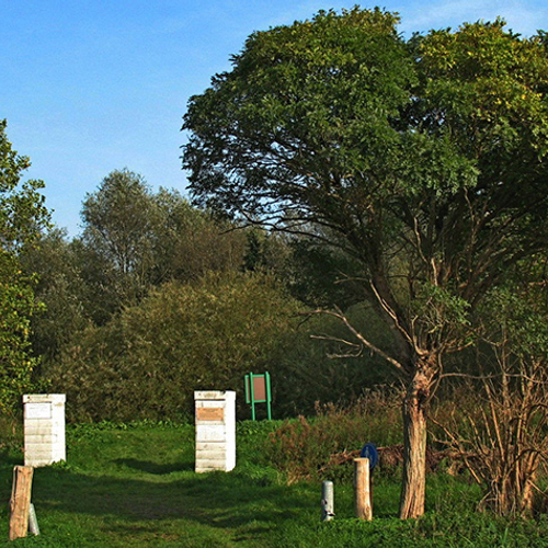 Het Volksbos in Vlaardingen bestaat 25 jaar