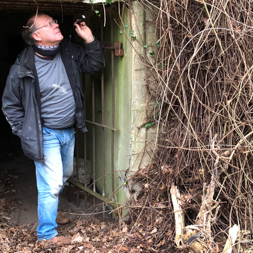 Vlinders in de vleermuisbunker