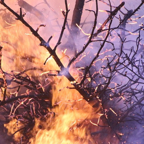 Vorderingen bij bestrijding veenbrand Meppen