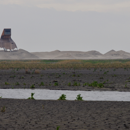 Ontwikkeling Marker Wadden