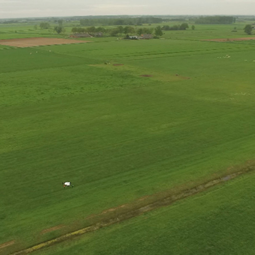 Drone helpt met inventariseren