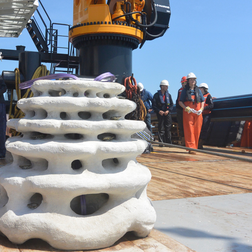 Containerramp bedreigt de ‘kraamkamer van de zee’