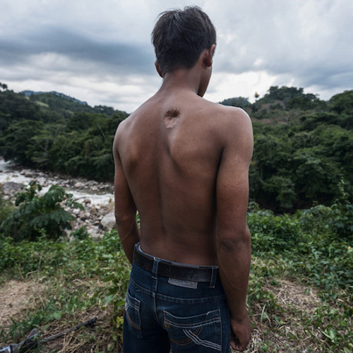 Recordaantal natuurbeschermers gedood in 2016