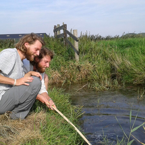 Broers in het groen