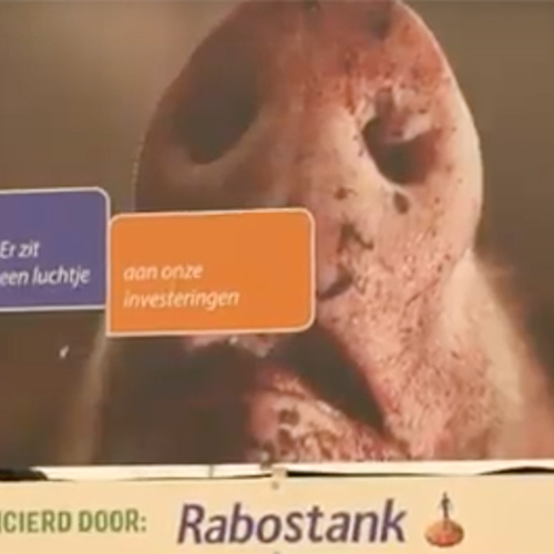 Megastallen en mestfabrieken gebouwd met geld Rabobank