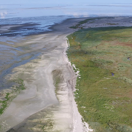 Overleven op het wad