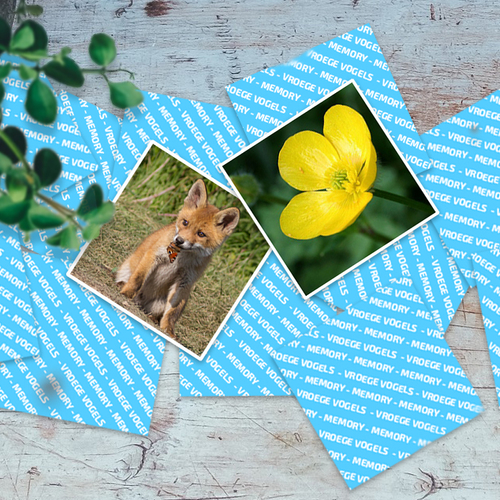 Memory: soorten met dezelfde naam