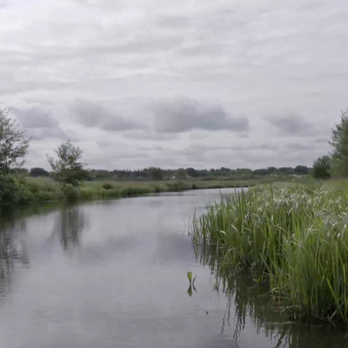 Slingeren langs de Hunze