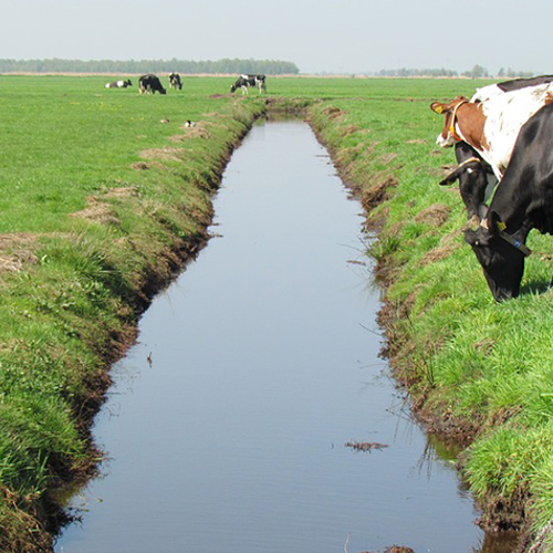 Miljoenen extra voor natuurbeheer boeren