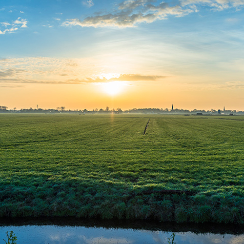 Ilperveld: zeldzame dieren onder de rook van Amsterdam