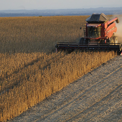 Wereldwijde voedselproductie gaat ten koste van natuurgebieden