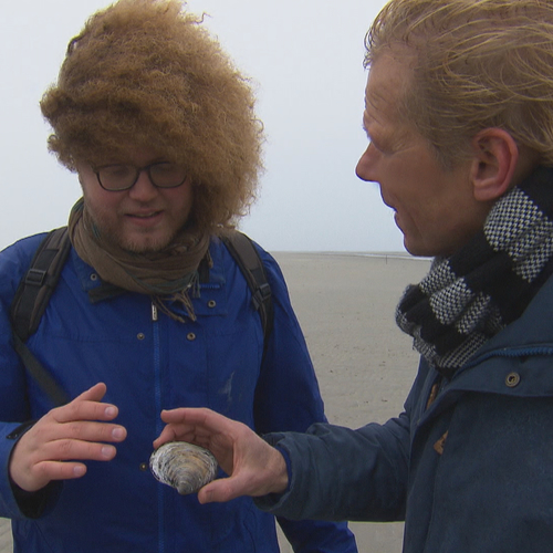 Noordkromp in de storm