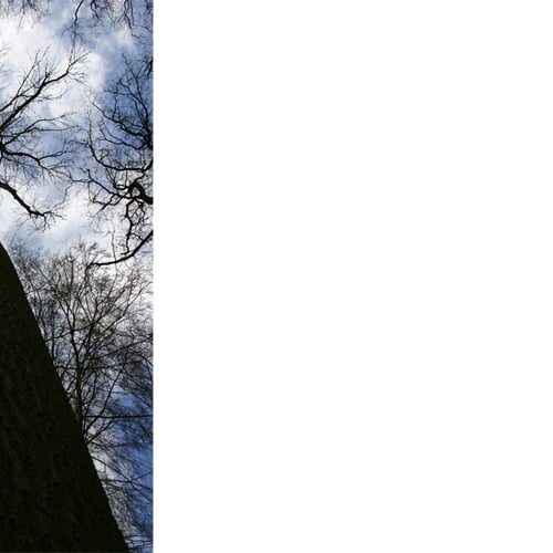 Afbeelding van Column Laura van Dolron, Utrechts landschap en alle overige onderwerpen