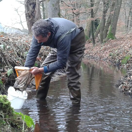 Lente in de beek