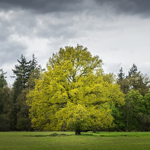 Impact klimaatverandering op pensioenfondsen