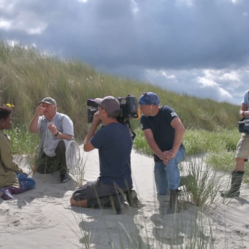 Achter de schermen: Dwalen door de Westerschelde