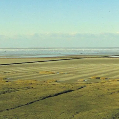 Genomineerd Jan Wolkers Prijs: Rotgrond bestaat niet