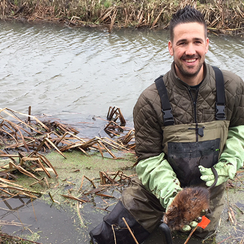 Strijd tegen de muskusrat