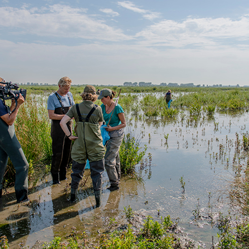 Tiengemeten: van landbouw tot natuurgebied