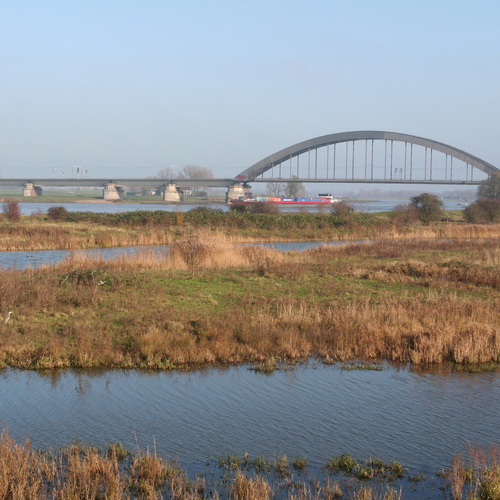 Watersnood in Culemborg, slaaptrek, slibbeheer in de Eems-Dollard, fenolijn en andere radio-onderwerpen