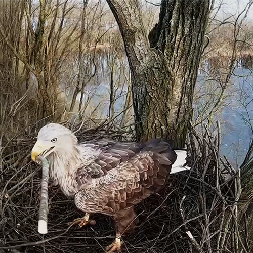 Beleef de lente gaat weer van start