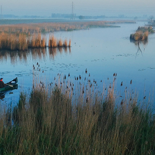 Vroege Vogels presenteert: Levende Rivier