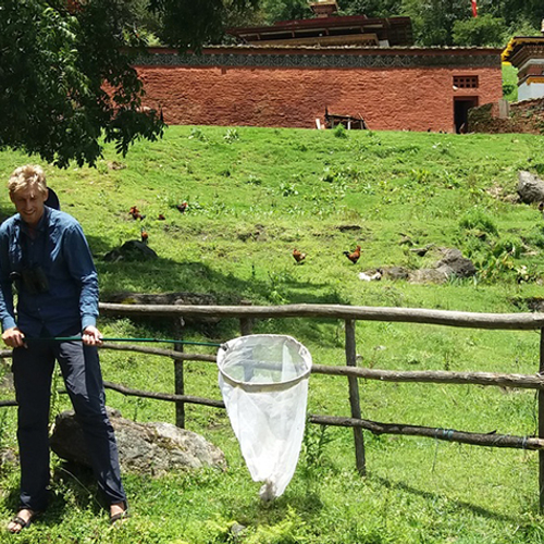 Biodiversiteit in Bhutan