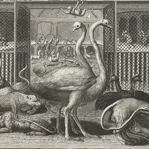 Exotische dieren in historisch Amsterdam
