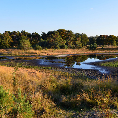 Water maximaal vasthouden in de natuur