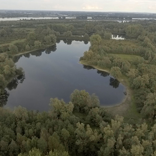 Snorkelen in de Ooijpolder