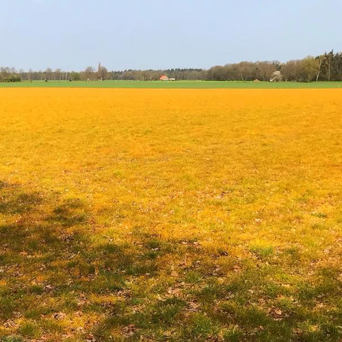 Roundup kleurt landschap oranje