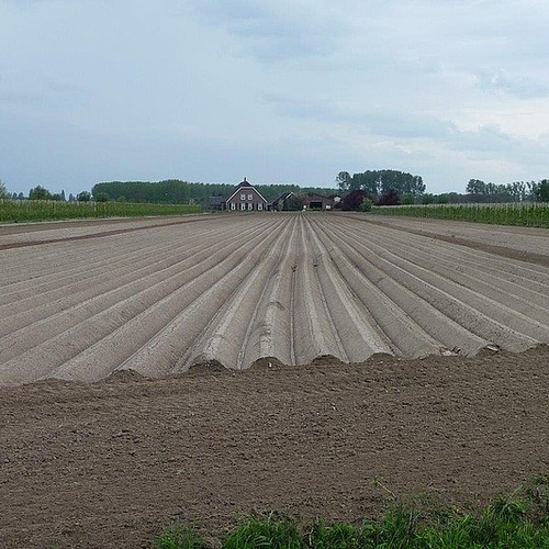 Natuurinclusief boeren is succes in Vechtplassen