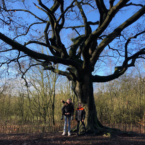 Roodsnavelkeerkringvogels, de heksenboom van Bladel, de fenolijn en overige radio-onderwerpen