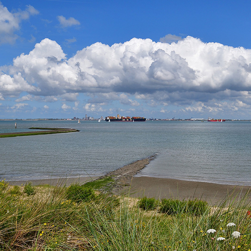 'Natuur kan helpen beschermen tegen stijgende zeespiegel'