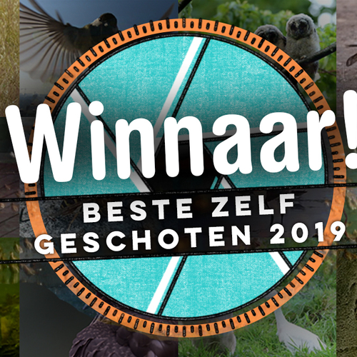 En de winnaar van Zelf Geschoten 2019 is...