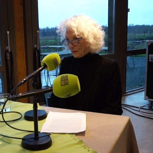 Nelleke Noordervliet: IJsland