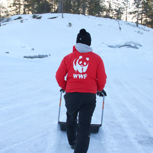 Reddingsactie voor bedreigde zeehond