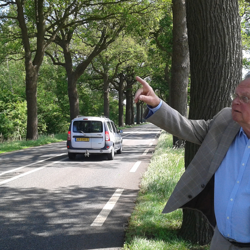 Bomen weg voor de automobilist