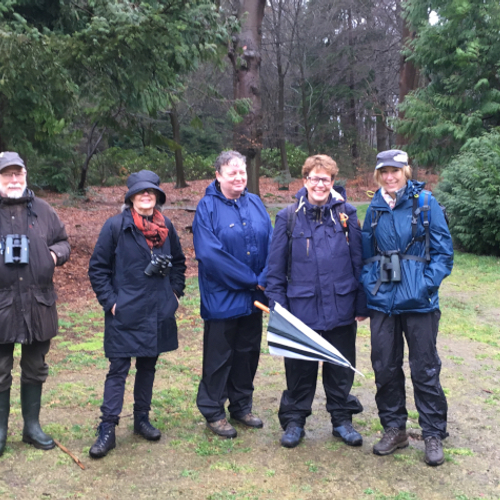 Vogelen voor beginners