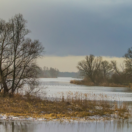 Afbeelding van Miljoenenbezuiniging op de Nationale Parken