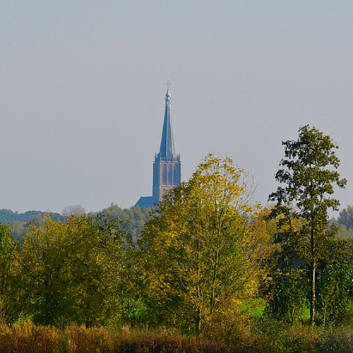 Dieren gaan naar de kerk