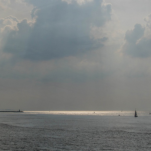Afbeelding van Rechter oordeelt: plannen voor beschermde natuur Noordzee moeten beter