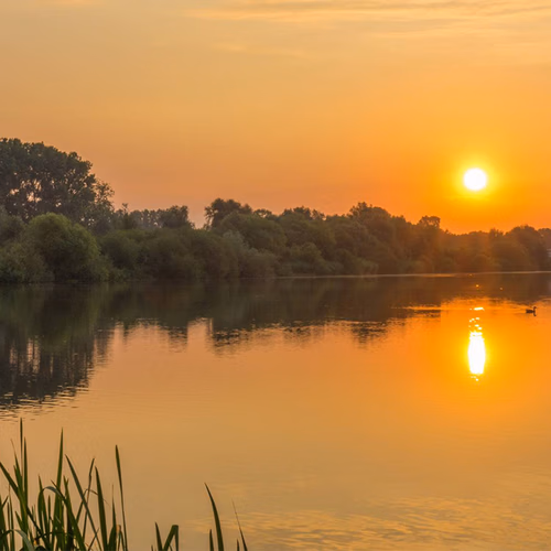 Afbeelding van KNMI: deze lente behoort tot warmste vijf ooit gemeten