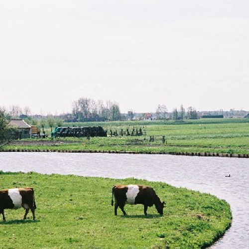 Waterkwaliteit in landbouwgebieden blijft onvoldoende