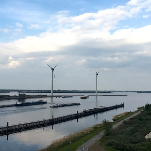 Zeearend zet windmolens stop