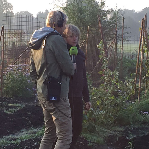 Nieuw seizoen in de moestuin