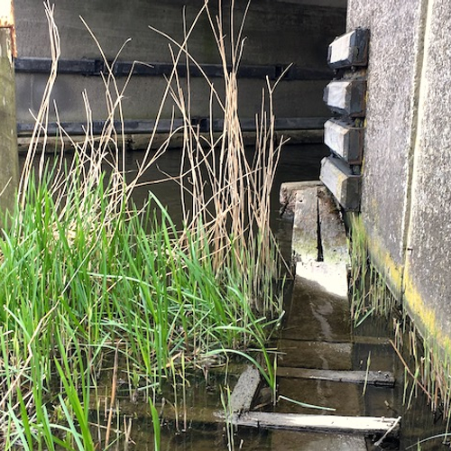 Faunapassages in slechte staat