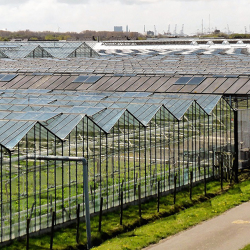 CO2 uit verbrand afval naar glastuinbouw